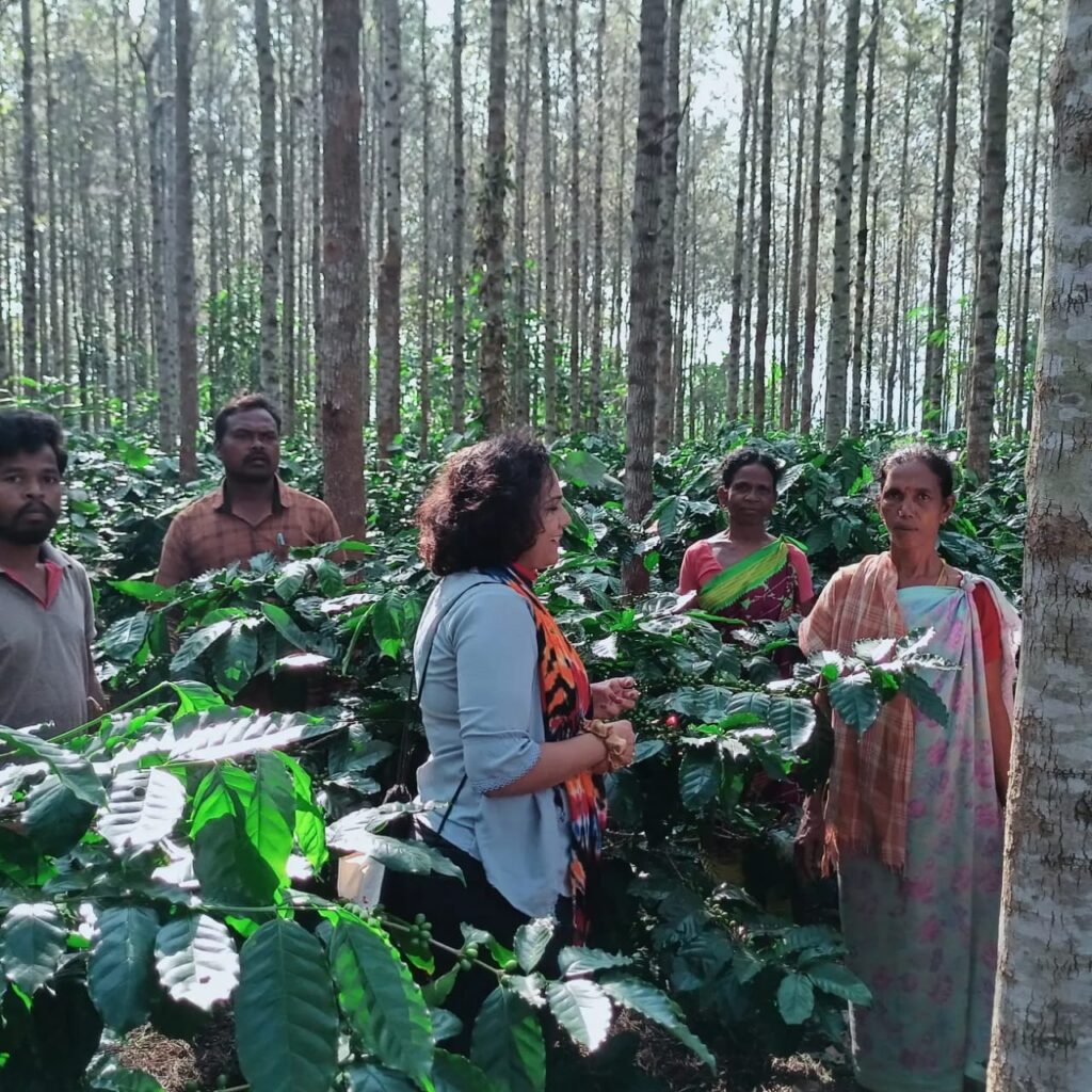 Tribal Farmers Talk at Araku Valley