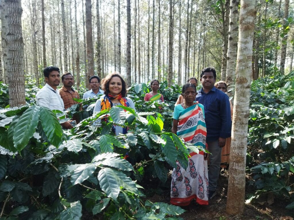 Araku Coffee Plantations