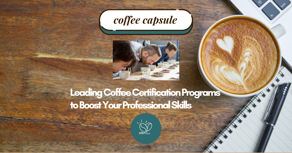 Top Coffee Education Programs and Certifications for Professionals