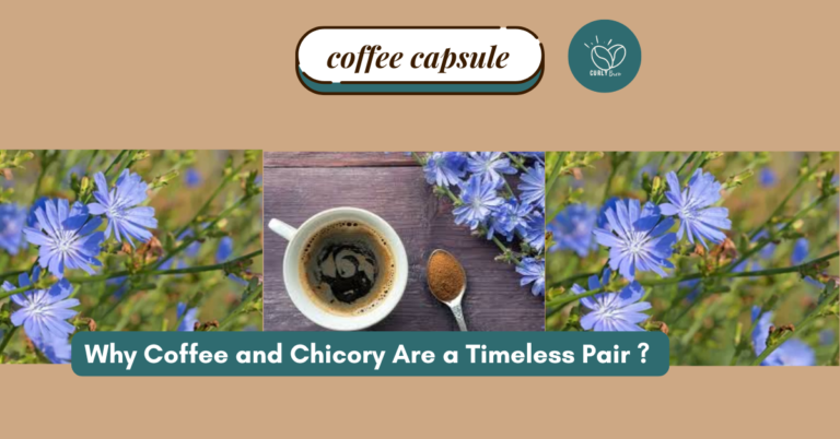 Explore the history, flavors, and benefits of the coffee and chicory blend