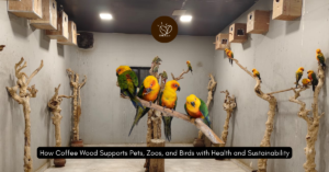How Coffee Wood Keeps Birds Happy at Petflix Kodaikanal