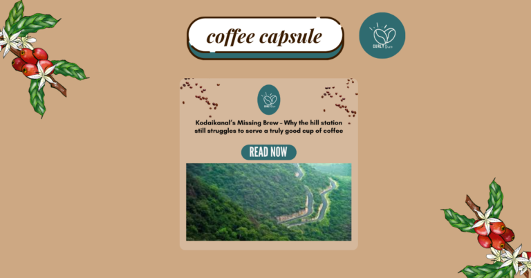 Where’s the Real Coffee in Kodaikanal