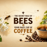 The Role of Bees in Coffee pollination showing bees on coffee flowers influencing yield, quality, and sustainable coffee production