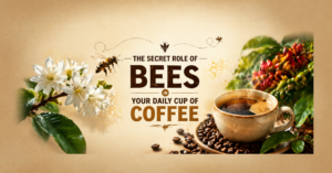 The Role of Bees in Coffee pollination showing bees on coffee flowers influencing yield, quality, and sustainable coffee production